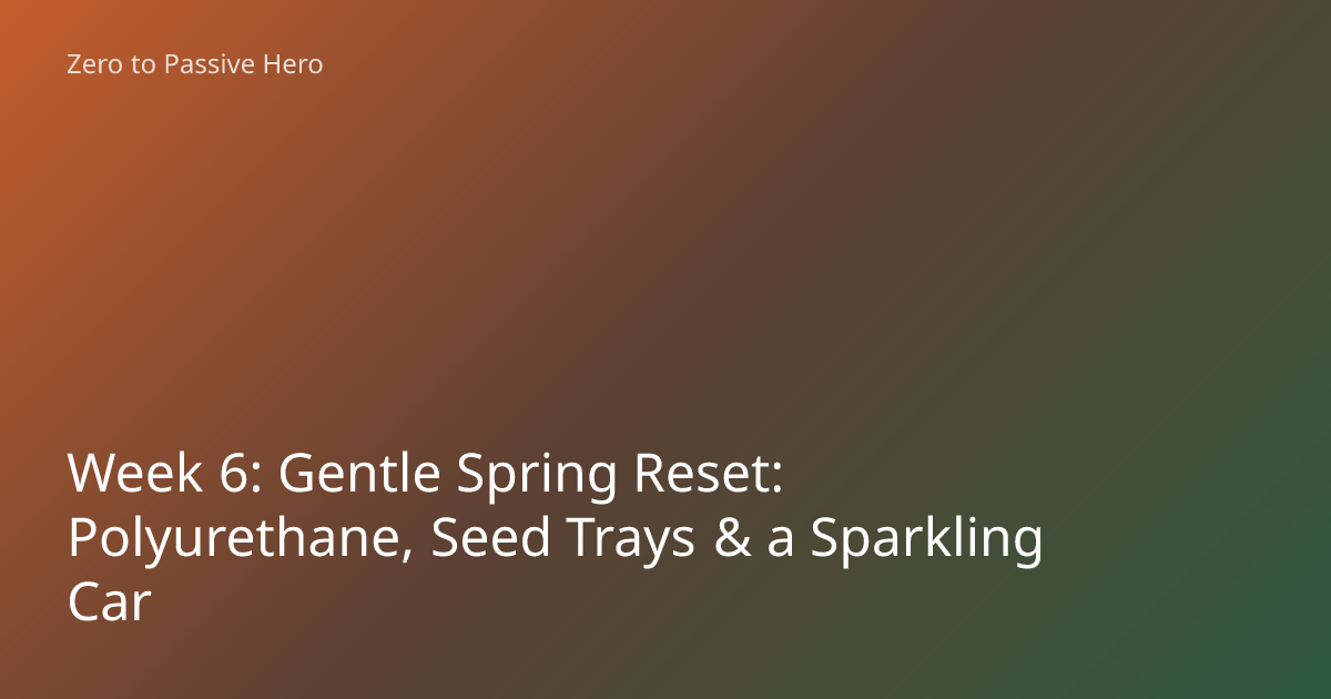 Week 6: Gentle Spring Reset: Polyurethane, Seed Trays & a Sparkling Car ...